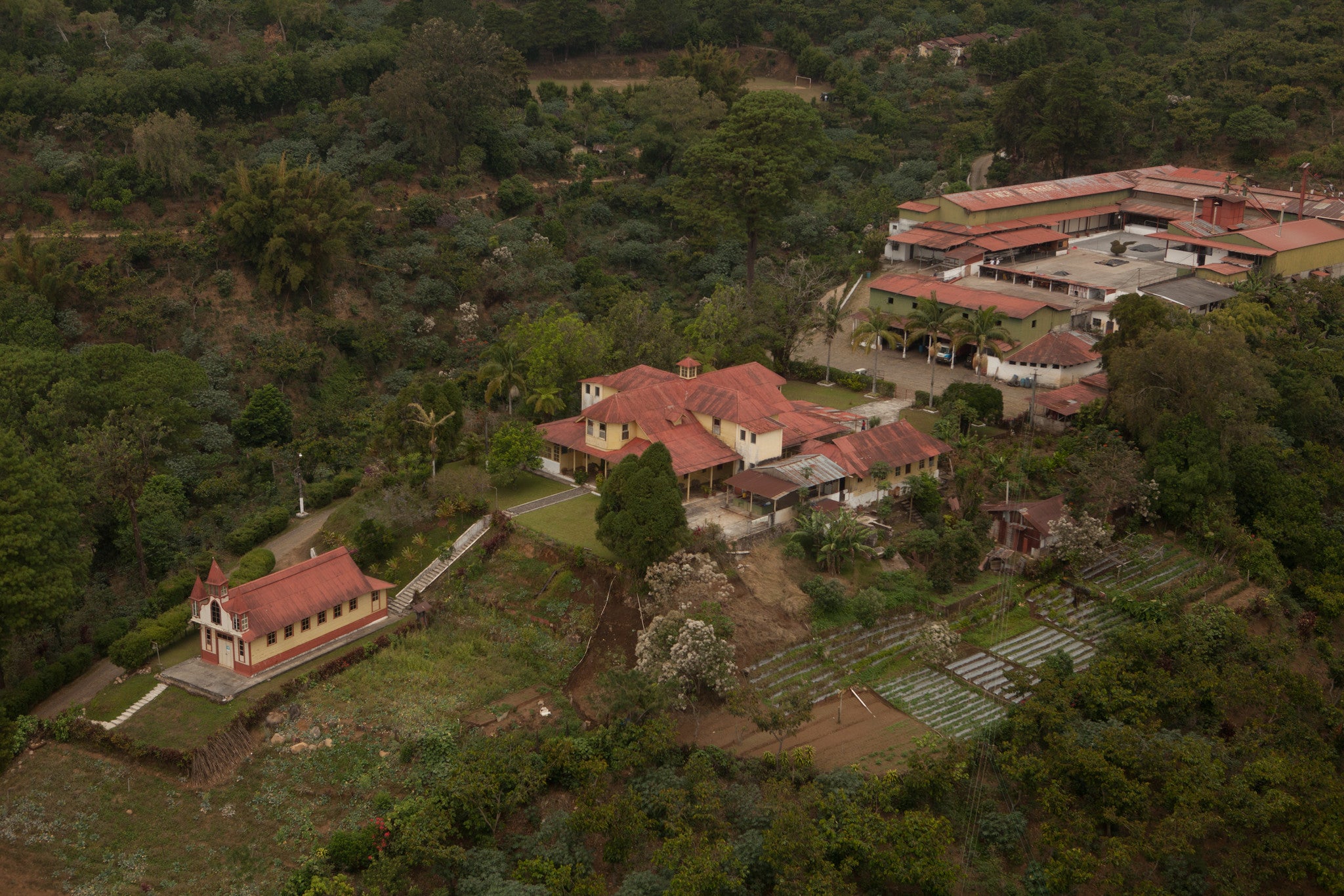 Finca Dos Marias - Bourbon Rojo - San Marcos, Guatemala